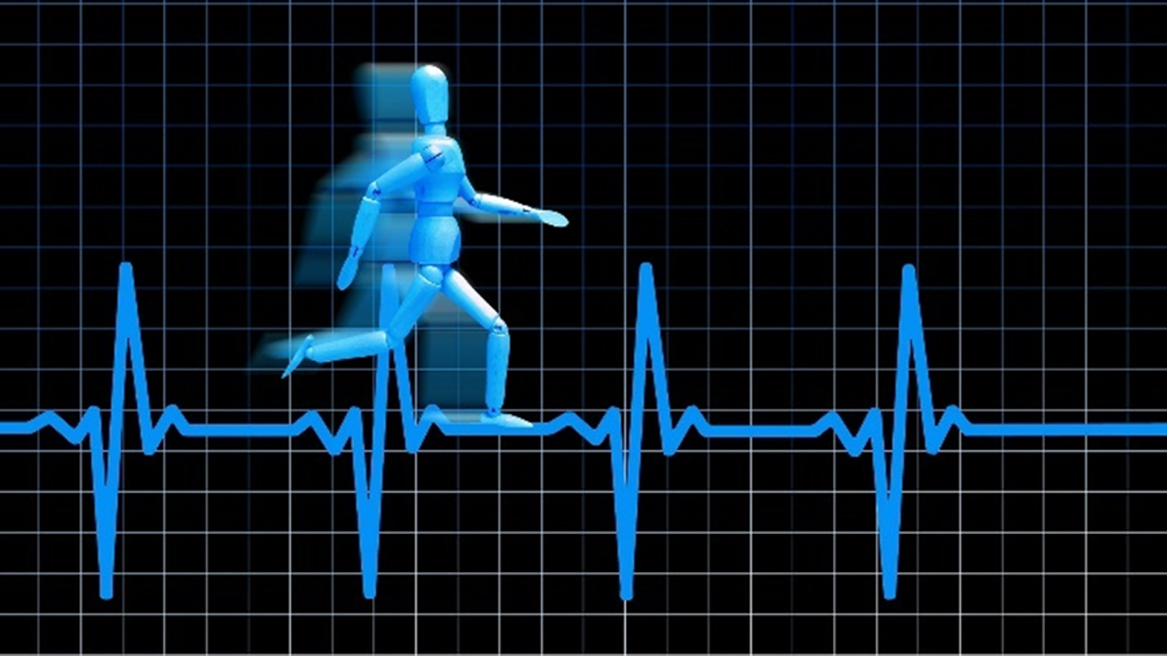 Analysis and visualization of heart rate variability (HRV)